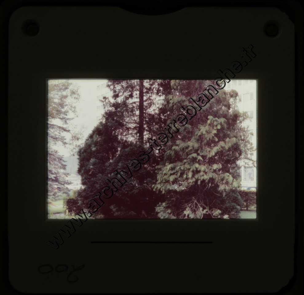 Sochaux Espace Industriel (partie 2)