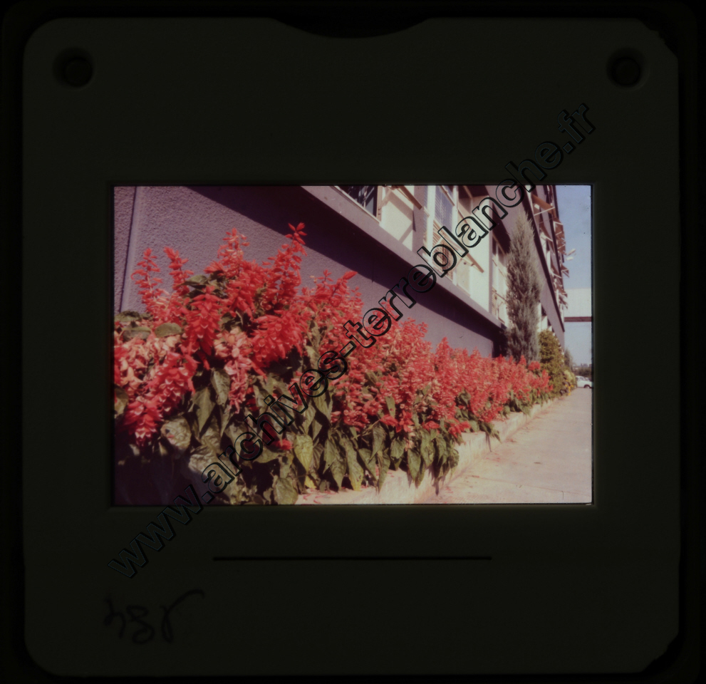 Sochaux Espace Industriel (partie 2)