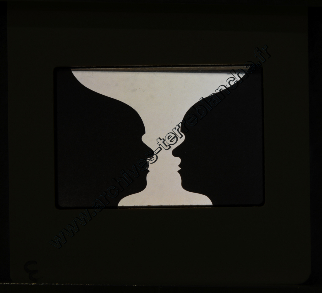 La Protection de la vue