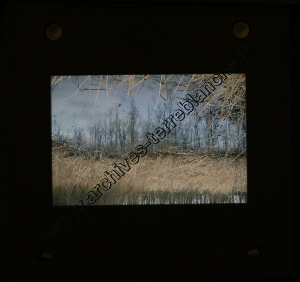 Sochaux Espace Industriel (partie 4)