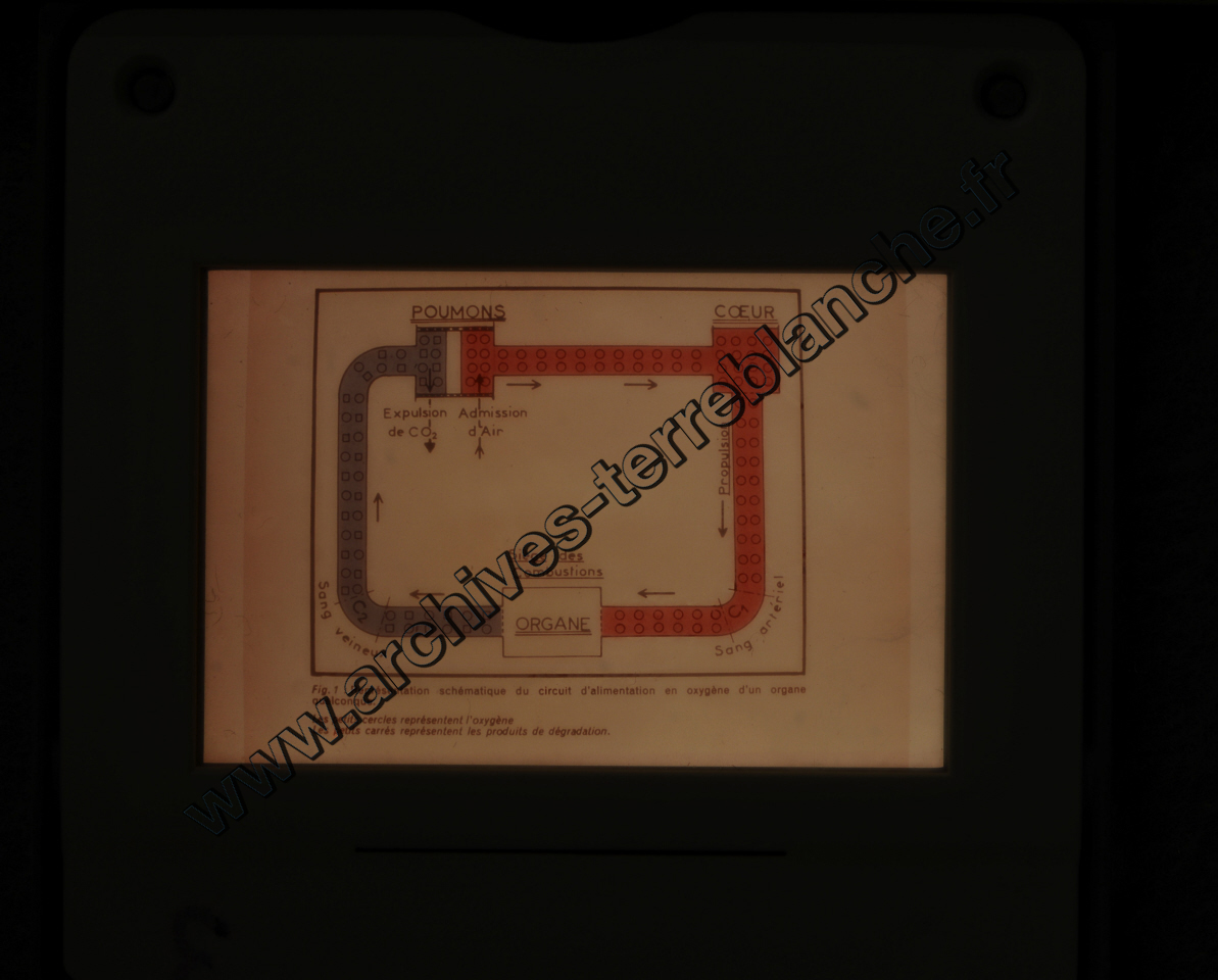 Fréquence Cardiac (partie 2)