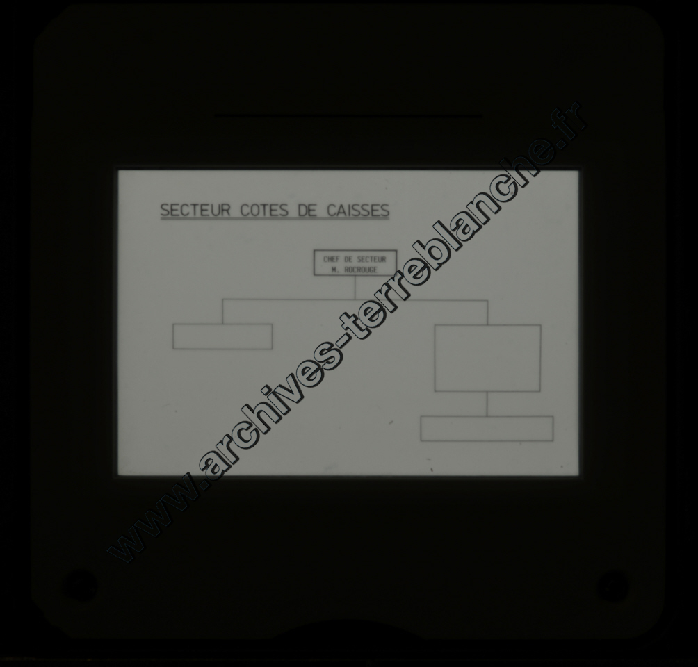 Présentation D60 ves