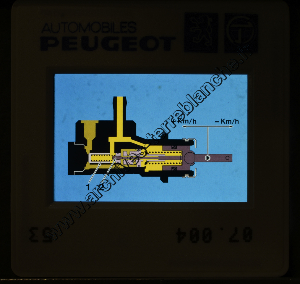 Formation "La Direction Assistée"